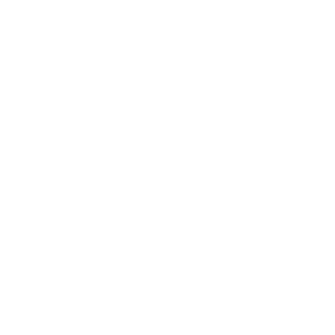 Send It Athletics logo